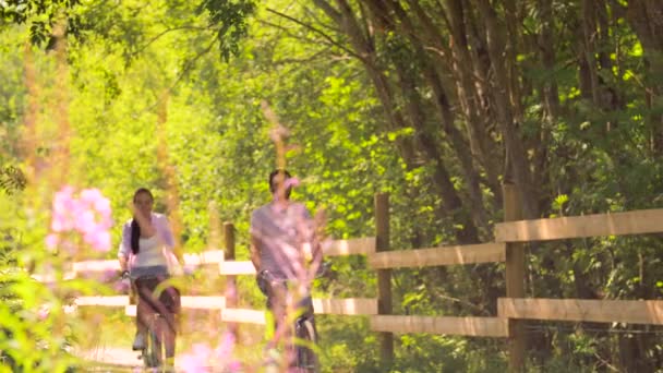 Happy couple riding bicycles at summer park — Stock Video