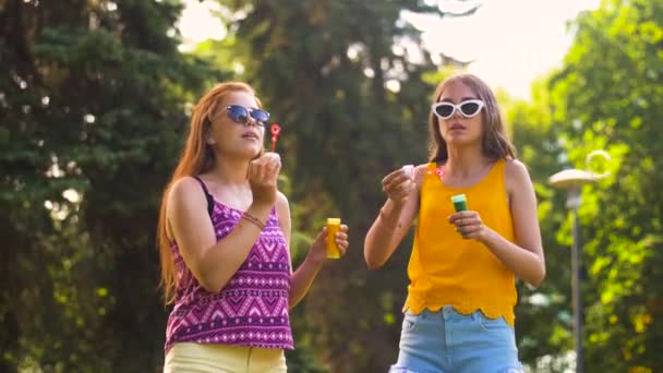 Meninas adolescentes soprando bolhas no parque de verão — Vídeo de Stock