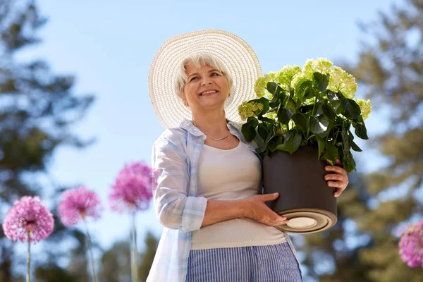 Vieille femme avec fleur d'hortensia au jardin d'été — Photo