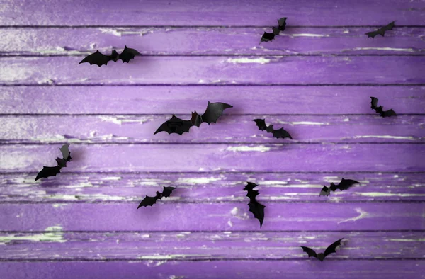 Czarny nietoperzy nad ultra violet shabby deski — Zdjęcie stockowe