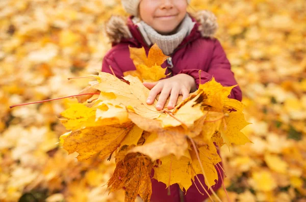 Close up of girl with maple leaves at autumn park — Stock Photo, Image