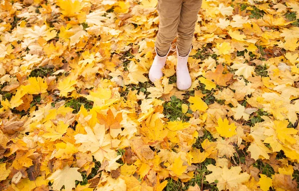 Gambe di bambino in stivali di gomma su foglie di acero in autunno — Foto Stock