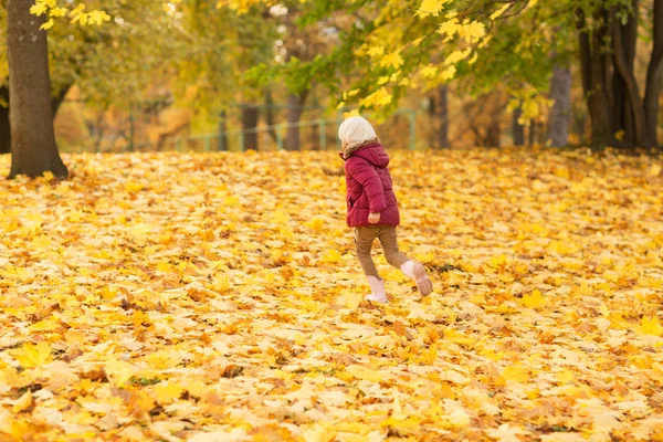 Menina feliz correndo no parque de outono — Fotografia de Stock