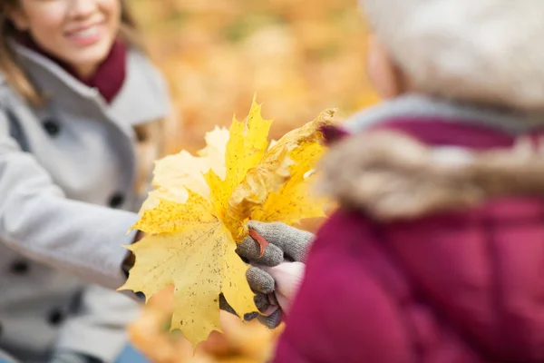 Nahaufnahme einer Familie mit Herbstlaub im Park — Stockfoto