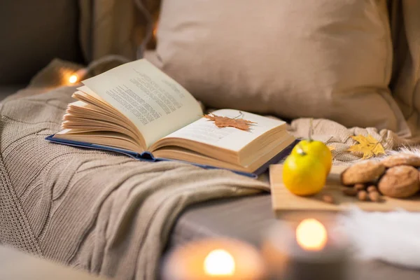 Книга с осенним листом и одеялом на диване — стоковое фото
