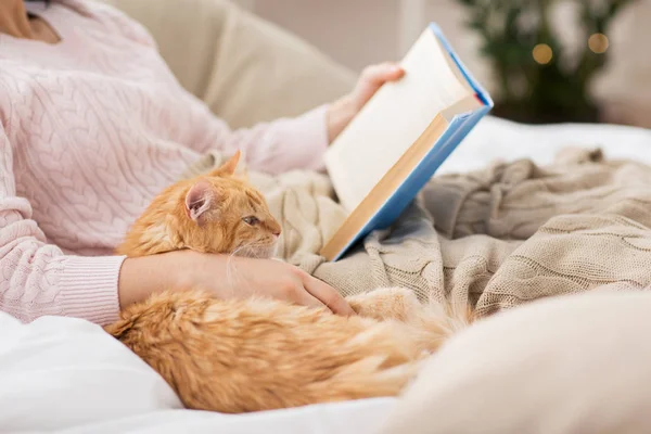 Gato vermelho e fêmea proprietário leitura livro em casa — Fotografia de Stock