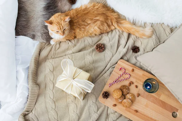 Gato rojo acostado en la cama con regalo de Navidad en casa — Foto de Stock