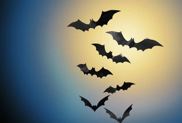 Bats flying over moonlight in night sky background — Stock Photo, Image