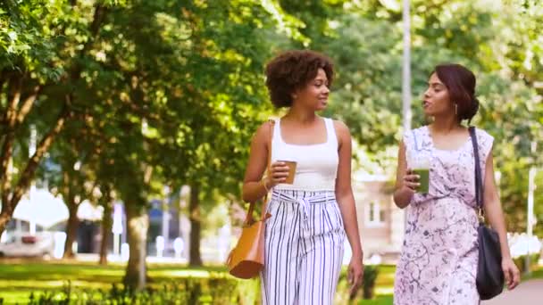 Gelukkig vrouwen of vrienden wandelen langs zomer park — Stockvideo