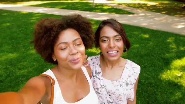 Glada kvinnor eller bloggare inspelning video i park — Stockvideo