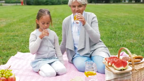 Großmutter und Enkelin bei Picknick im Park — Stockvideo