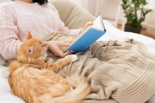 Червоний кіт і жінка власник читає книгу вдома — стокове фото