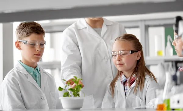 Студенты и преподаватели с растениями на уроке биологии — стоковое фото