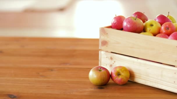 Reife Äpfel in Holzkiste auf Tisch — Stockvideo