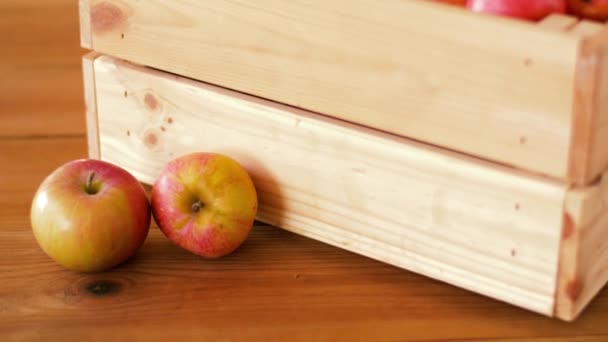 Dojrzałe jabłka w drewnianym pudełku na stole — Wideo stockowe