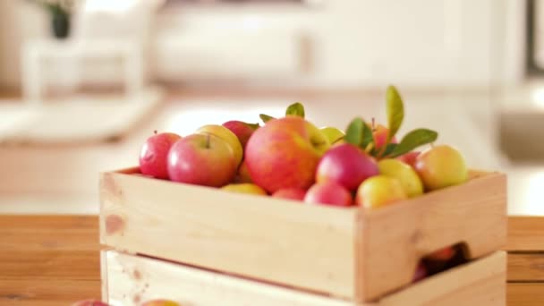 Mogna äpplen i trälåda på bordet — Stockvideo