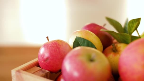 Manzanas maduras en caja de madera sobre mesa — Vídeo de stock