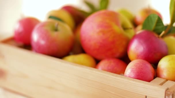 Спелые яблоки в деревянной коробке на столе — стоковое видео