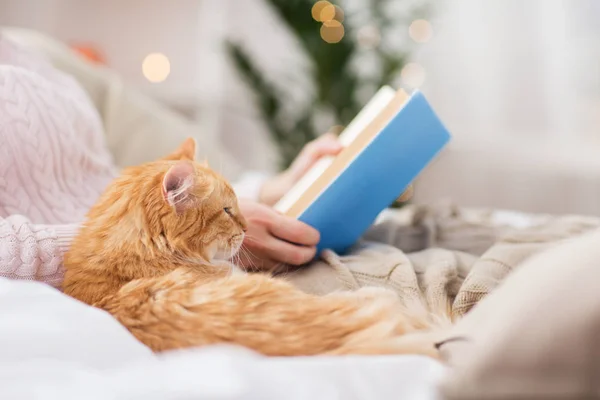 Gato vermelho e fêmea proprietário leitura livro em casa — Fotografia de Stock