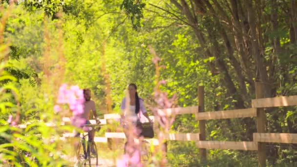 Счастливая пара на велосипедах в летнем парке — стоковое видео