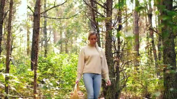 Giovane donna che raccoglie funghi nella foresta autunnale — Video Stock