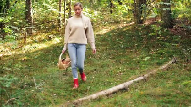 Νεαρή γυναίκα μαζεύει μανιτάρια στο δάσος του φθινοπώρου — Αρχείο Βίντεο