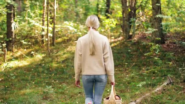 Young woman picking mushrooms in autumn forest — Stock Video