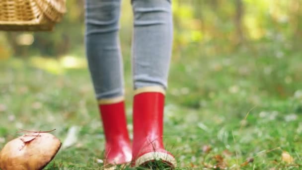 Jonge vrouw plukken paddestoelen in de herfst bos — Stockvideo