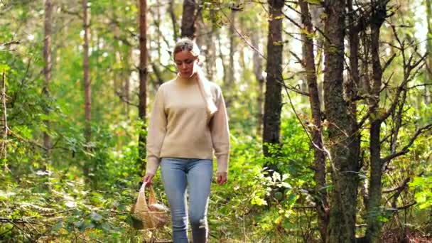 Young woman picking mushrooms in autumn forest — Stock Video