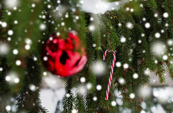 Canne à bonbons et boule de Noël sur branche de sapin — Photo
