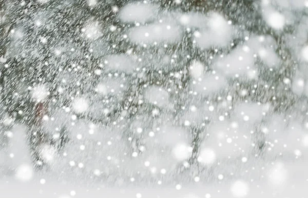 Snowing or snowfall — Stock Photo, Image