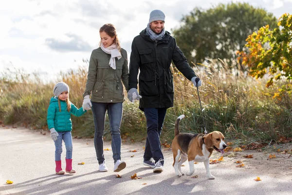 Familia feliz paseando con el perro beagle en otoño — Foto de Stock