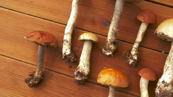 Bruine kap boletus champignons op houten ondergrond — Stockvideo