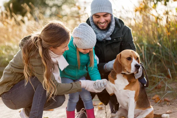 Szczęśliwa rodzina z psem beagle na świeżym powietrzu jesienią — Zdjęcie stockowe