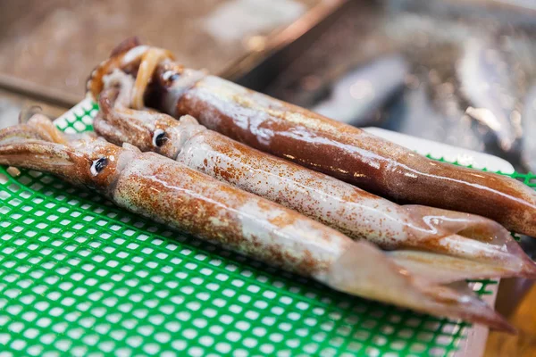 Close up of fresh squids at japanese street market — Stock Photo, Image