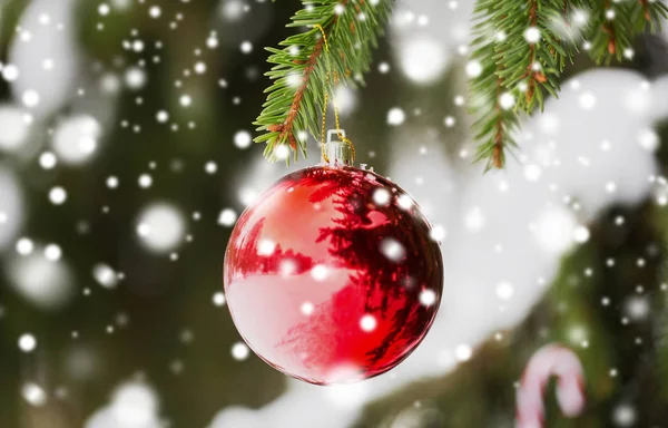 Palla di Natale rossa su ramo di abete con neve — Foto Stock