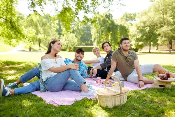 愉快的朋友与饮料在野餐在夏季公园 — 图库照片