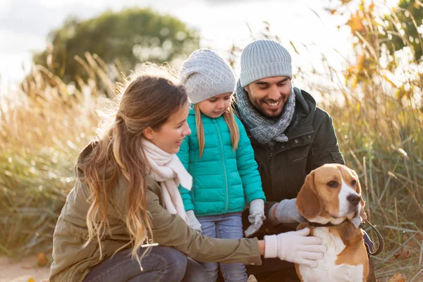 Szczęśliwa rodzina z psem beagle na świeżym powietrzu jesienią — Zdjęcie stockowe