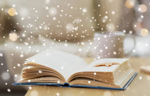 Masa üzerinde kar sonbahar yaprak ile kitap — Stok fotoğraf