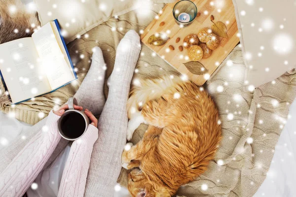 Nő kávé, és a macska az ágyban, mint a hó — Stock Fotó