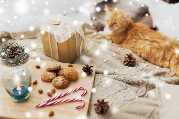 Gato vermelho deitado na cama com presente de Natal em casa — Fotografia de Stock