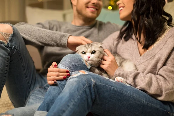 Close up of couple with scottish fold cat — Stock Photo, Image