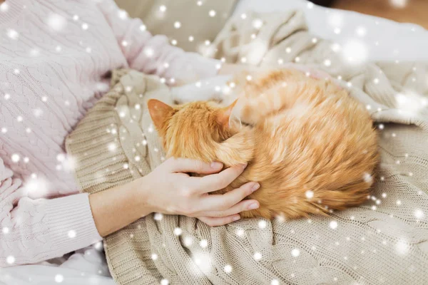 Primer plano del propietario con gato rojo en la cama en casa —  Fotos de Stock