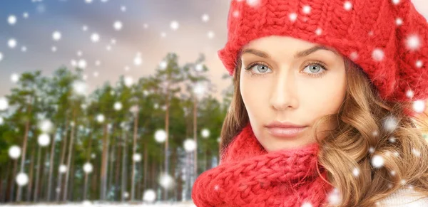 Женщина в шляпе и шарфе над зимним лесом — стоковое фото