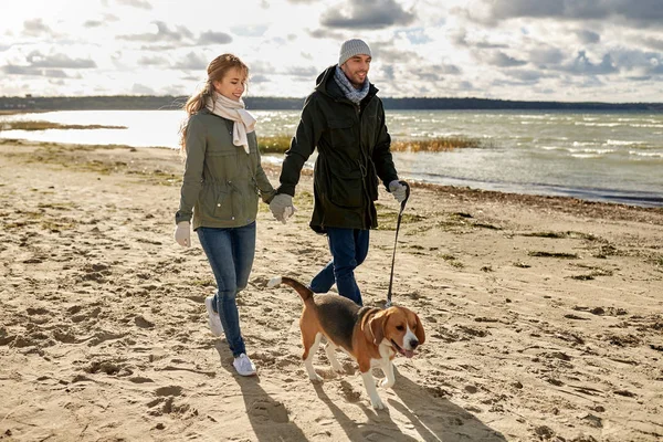 Счастливая пара с собакой на осеннем пляже — стоковое фото