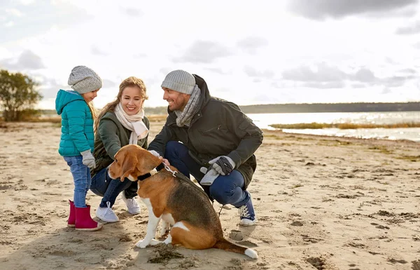 Familia feliz con perro beagle en la playa —  Fotos de Stock