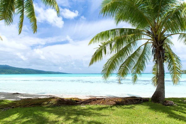 Lagoon and mountains in french polynesia — Stock Photo, Image