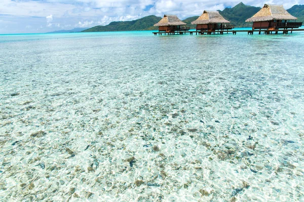 Bungalows em recurso tropical de polinésia francesa — Fotografia de Stock