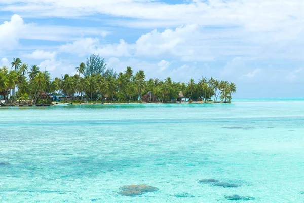 Palmer och hyddor på stranden i franska Polynesien — Stockfoto