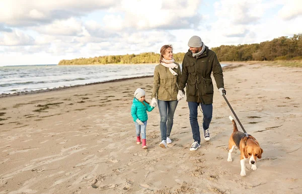 Felice passeggiata in famiglia con cane beagle sulla spiaggia — Foto Stock